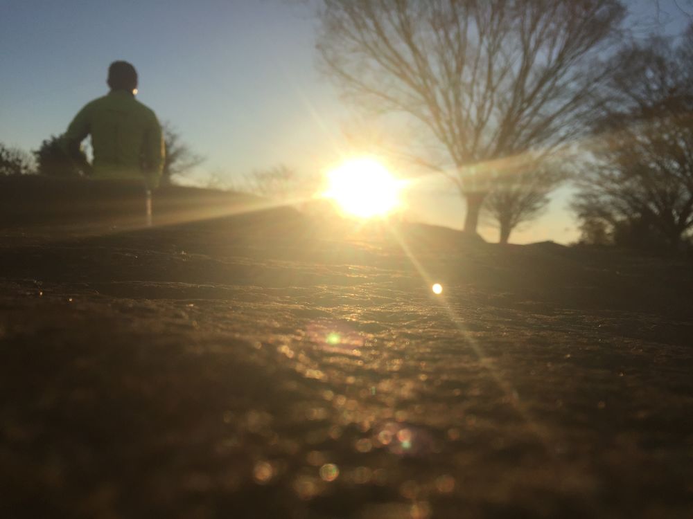 藤枝駅〜蓮華寺池公園コースの写真7