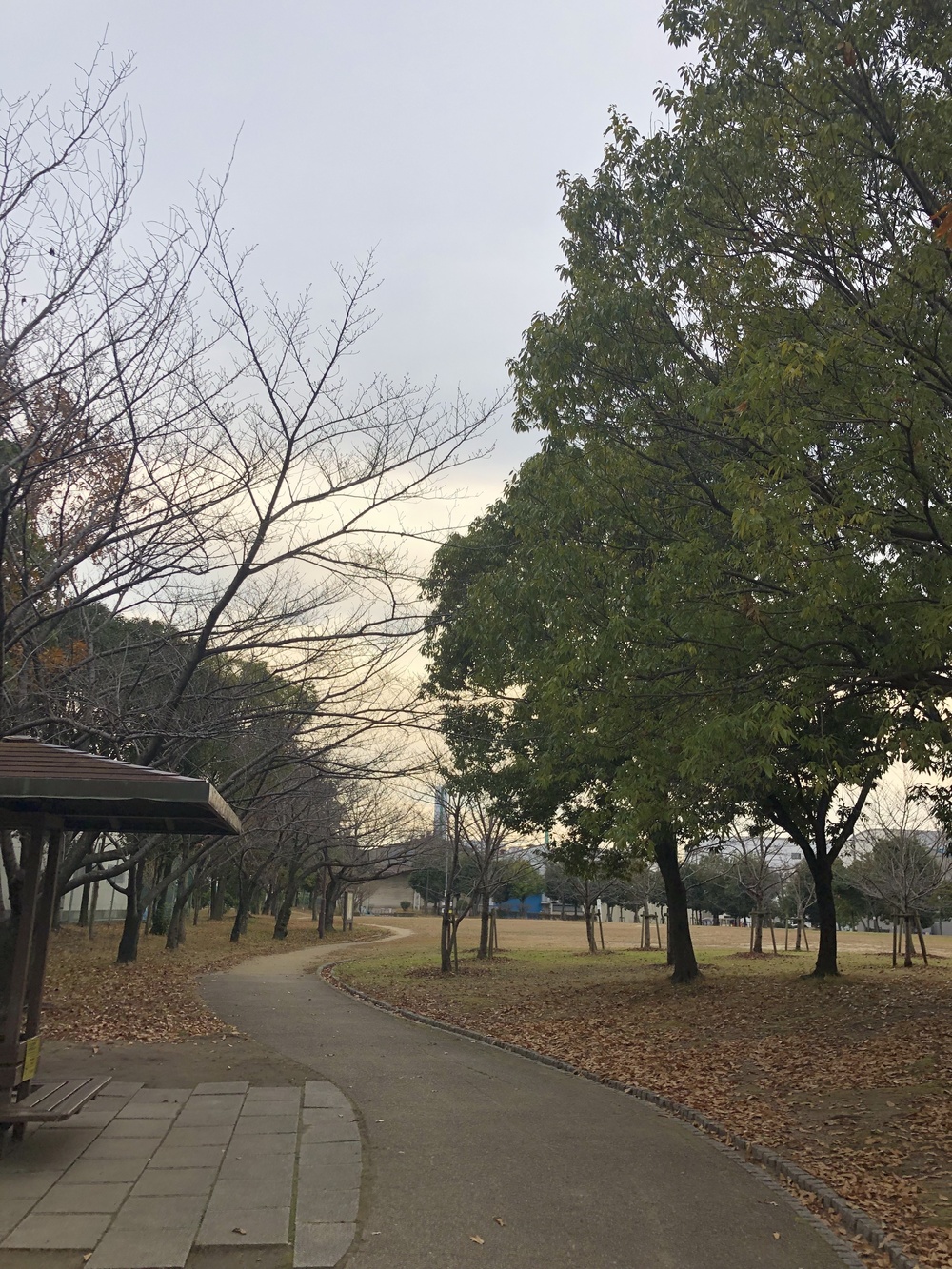 緩衝緑地から恩智川を下り花園ラグビー場を走る10kmコース！の写真3
