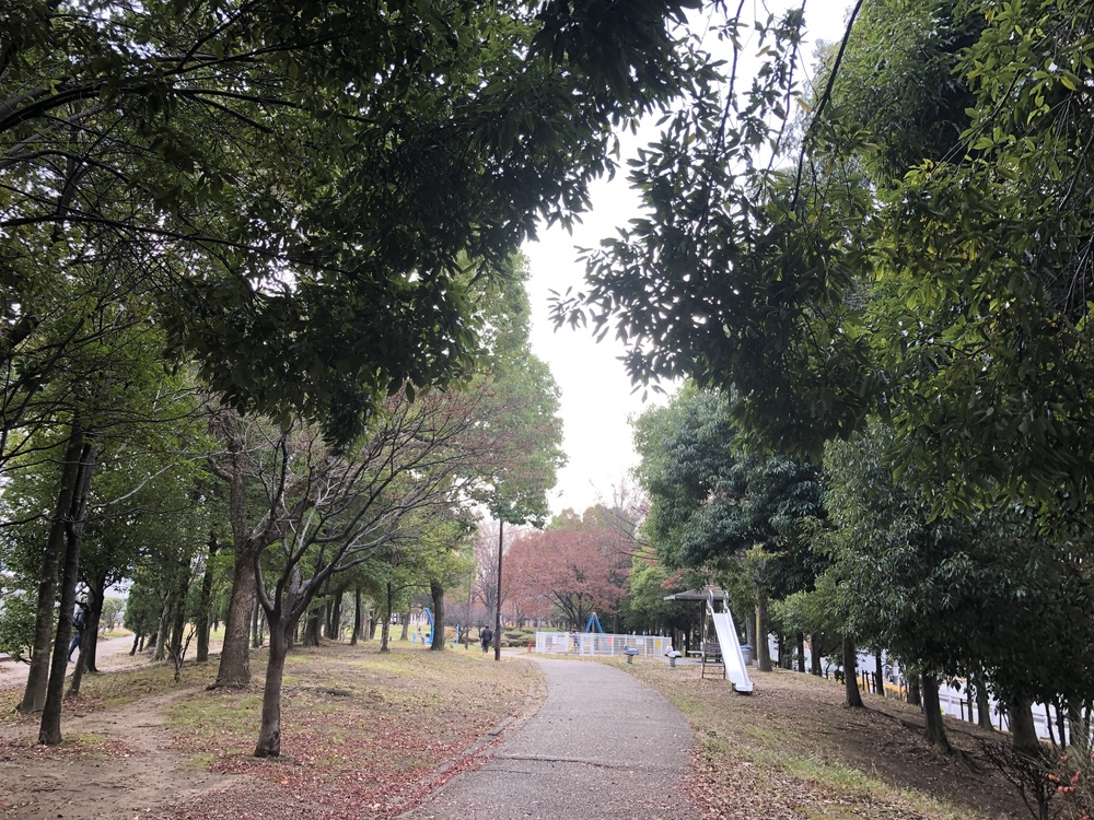 恩智川から緩衝緑地を経て花園ラグビー場10kmのコース！の写真3