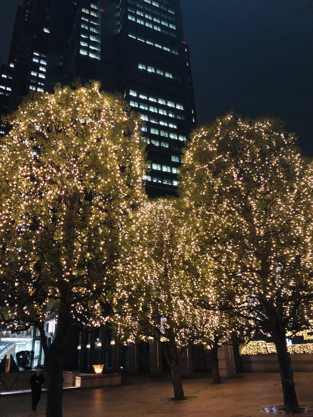 クリスマスイルミ 新宿・六本木の写真3