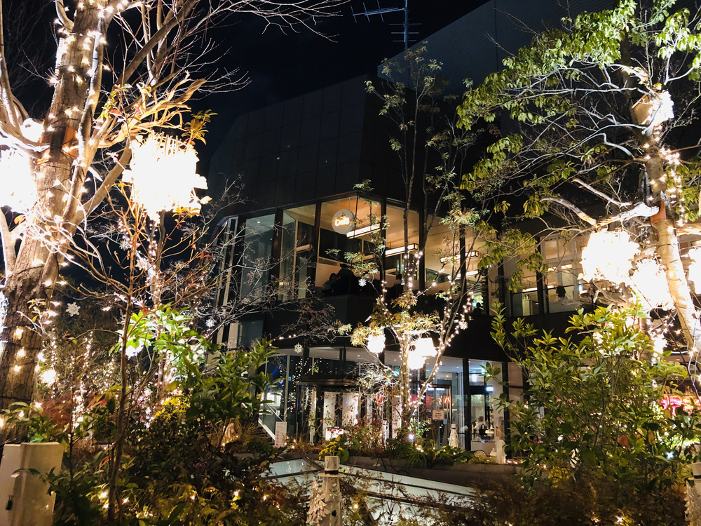 クリスマスイルミ 新宿・六本木の写真6