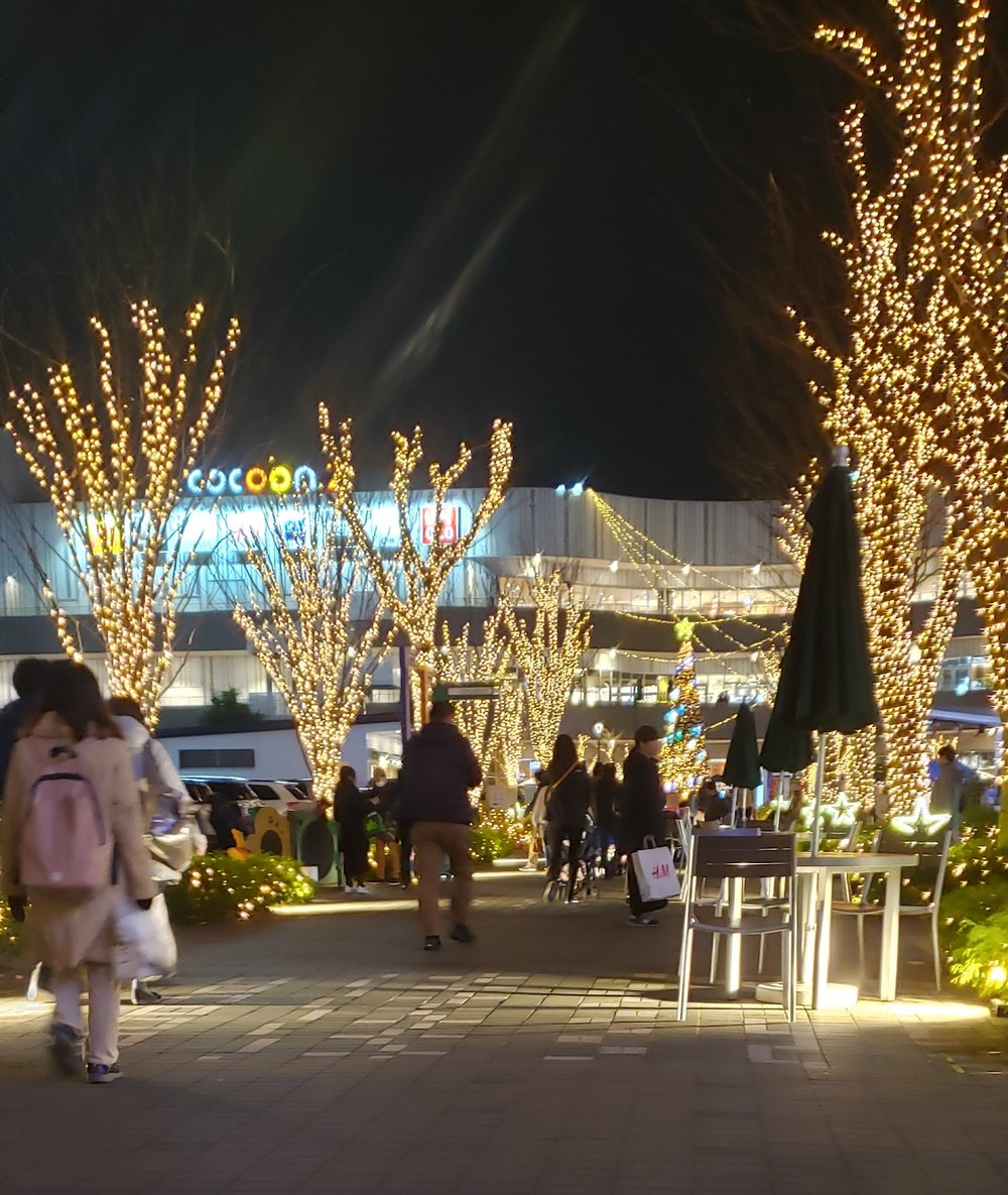 大宮～新都心 イルミランの写真3