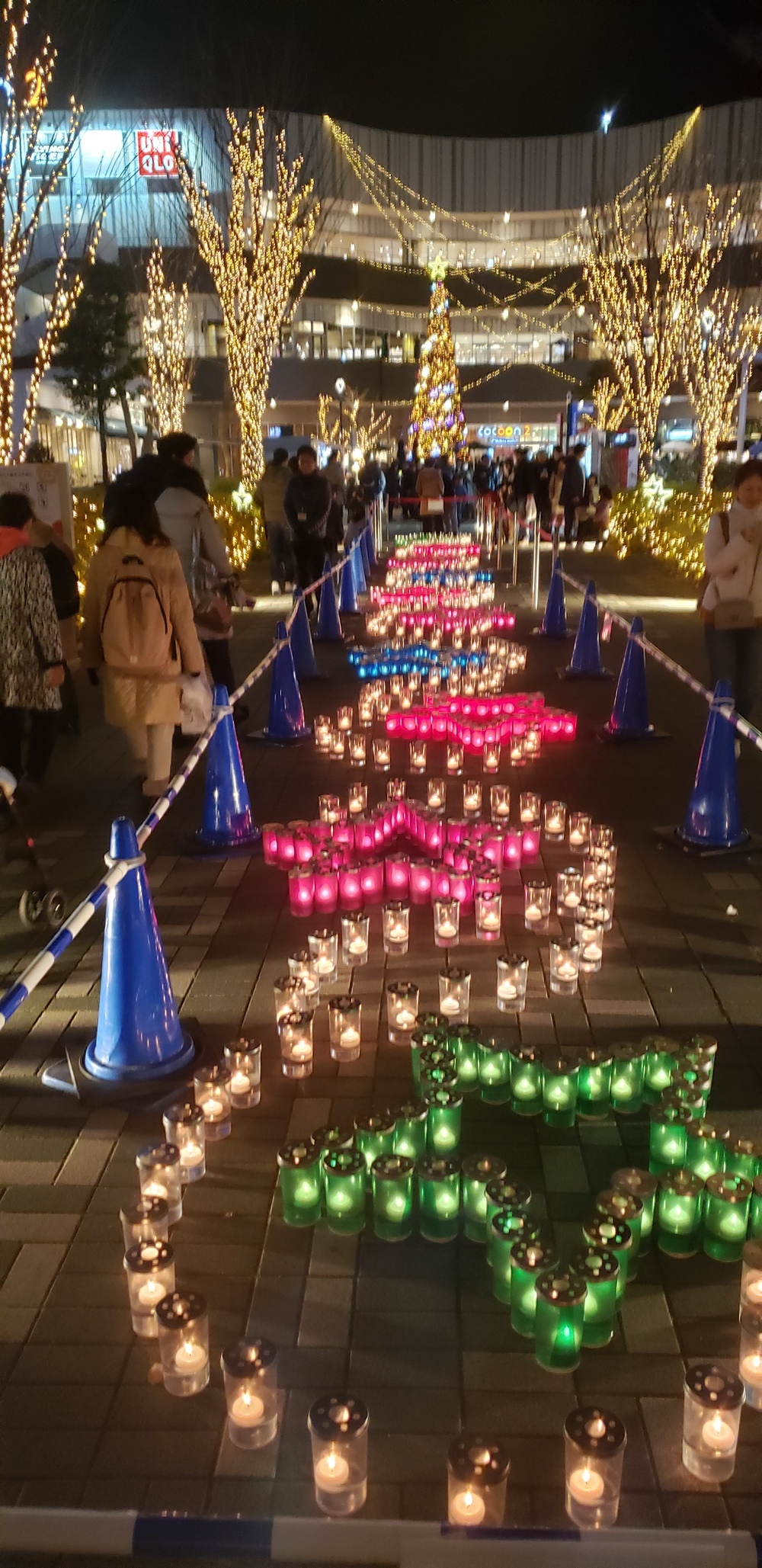 大宮～新都心 イルミランの写真4