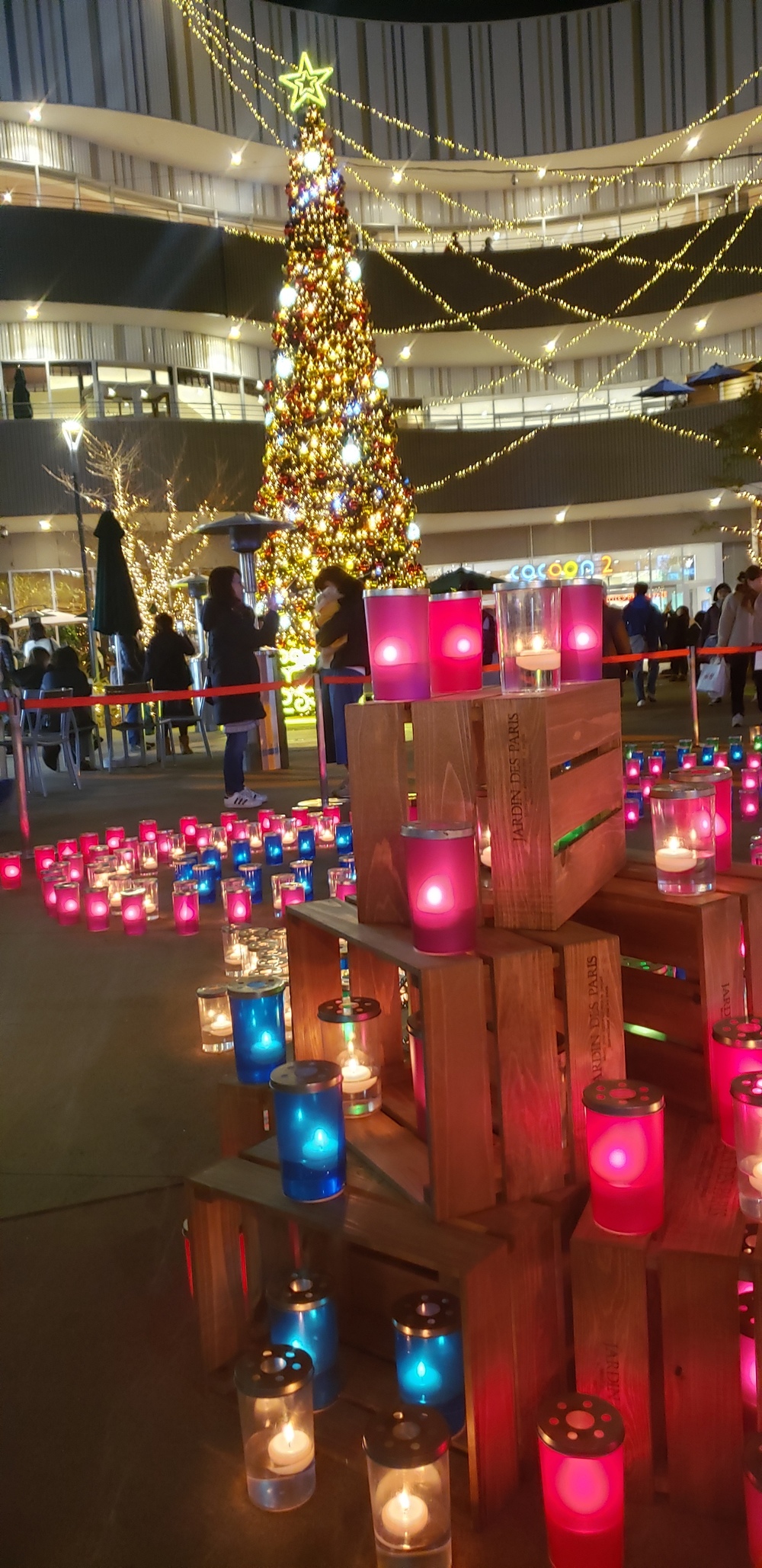 大宮～新都心 イルミランの写真5