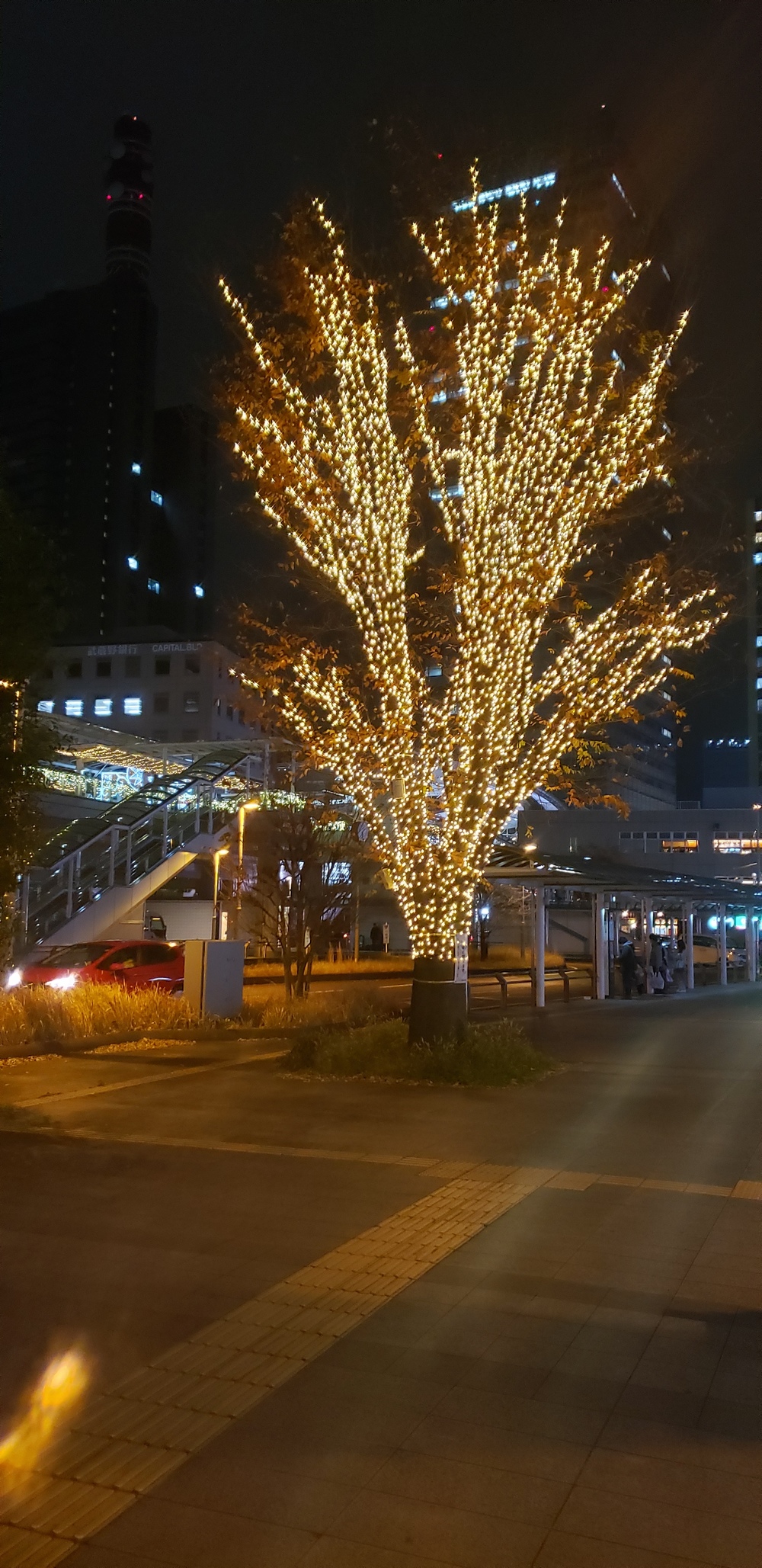 大宮～新都心 イルミランの写真7