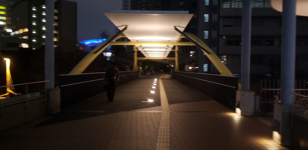 大宮～新都心 イルミランの写真10