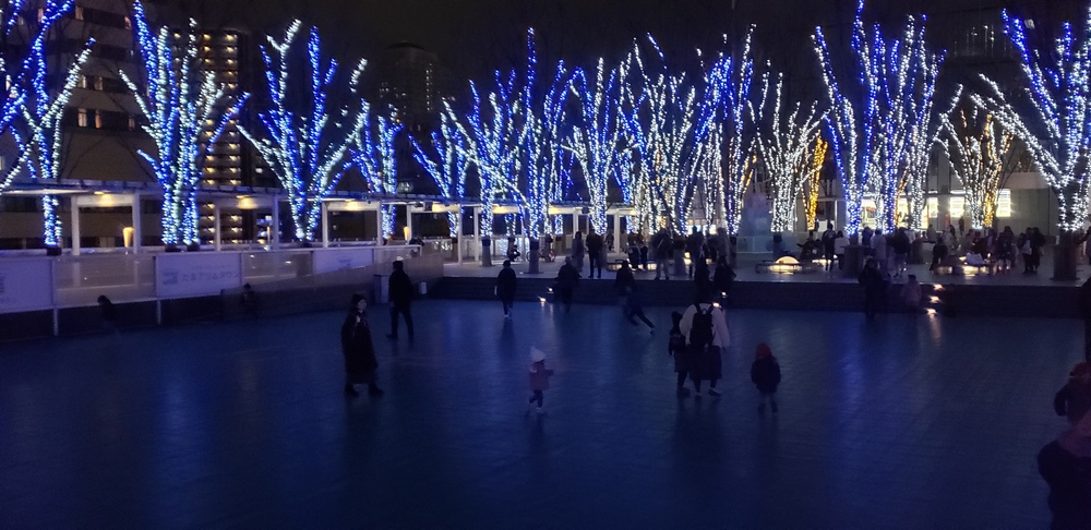 大宮～新都心 イルミランの写真14