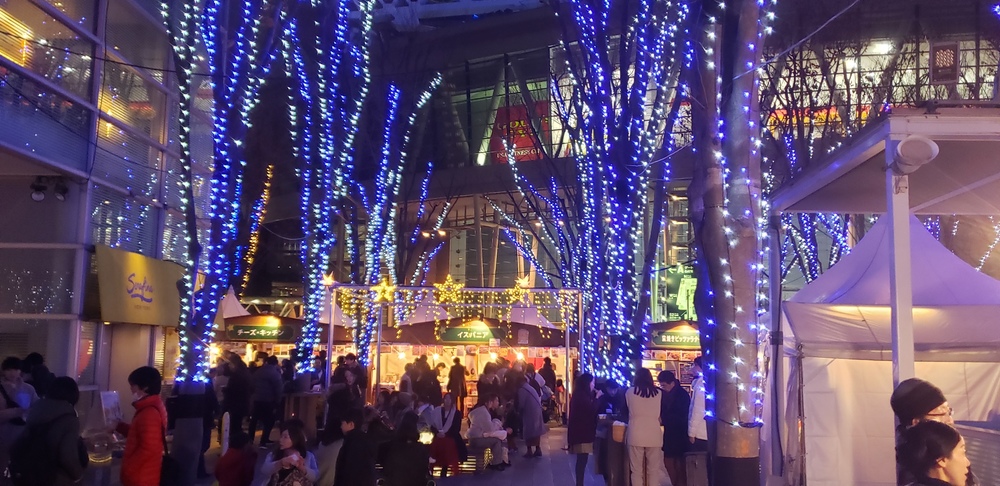 大宮～新都心 イルミランの写真16
