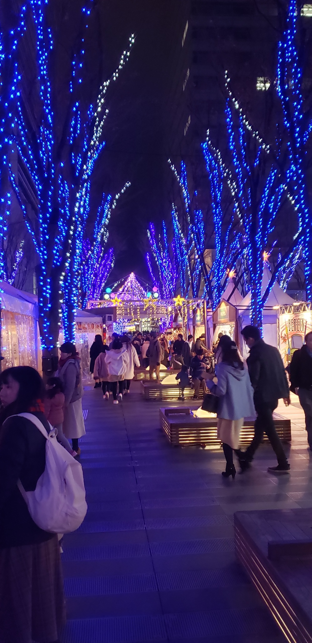 大宮～新都心 イルミランの写真17