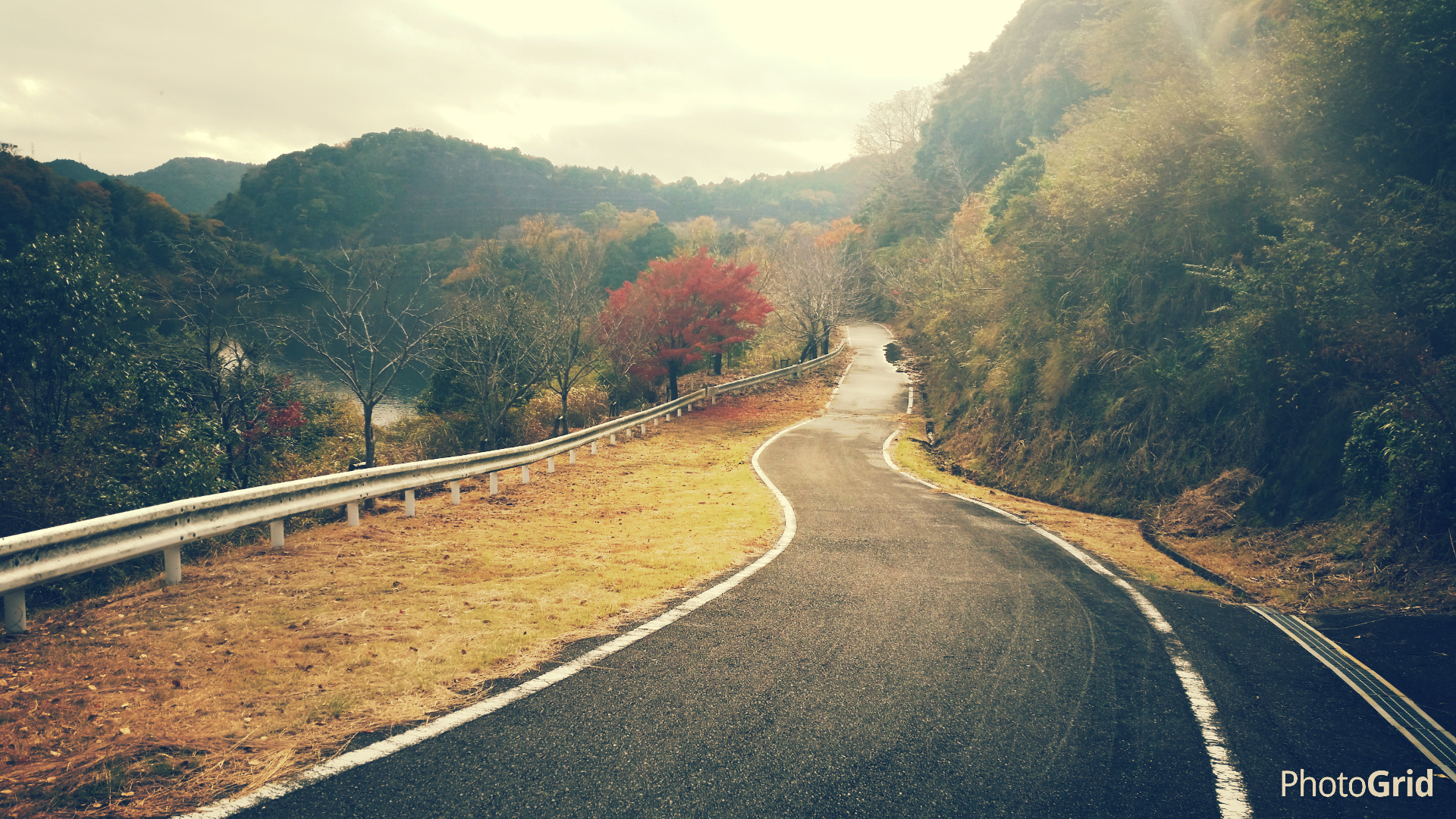 ダム湖周遊の写真3