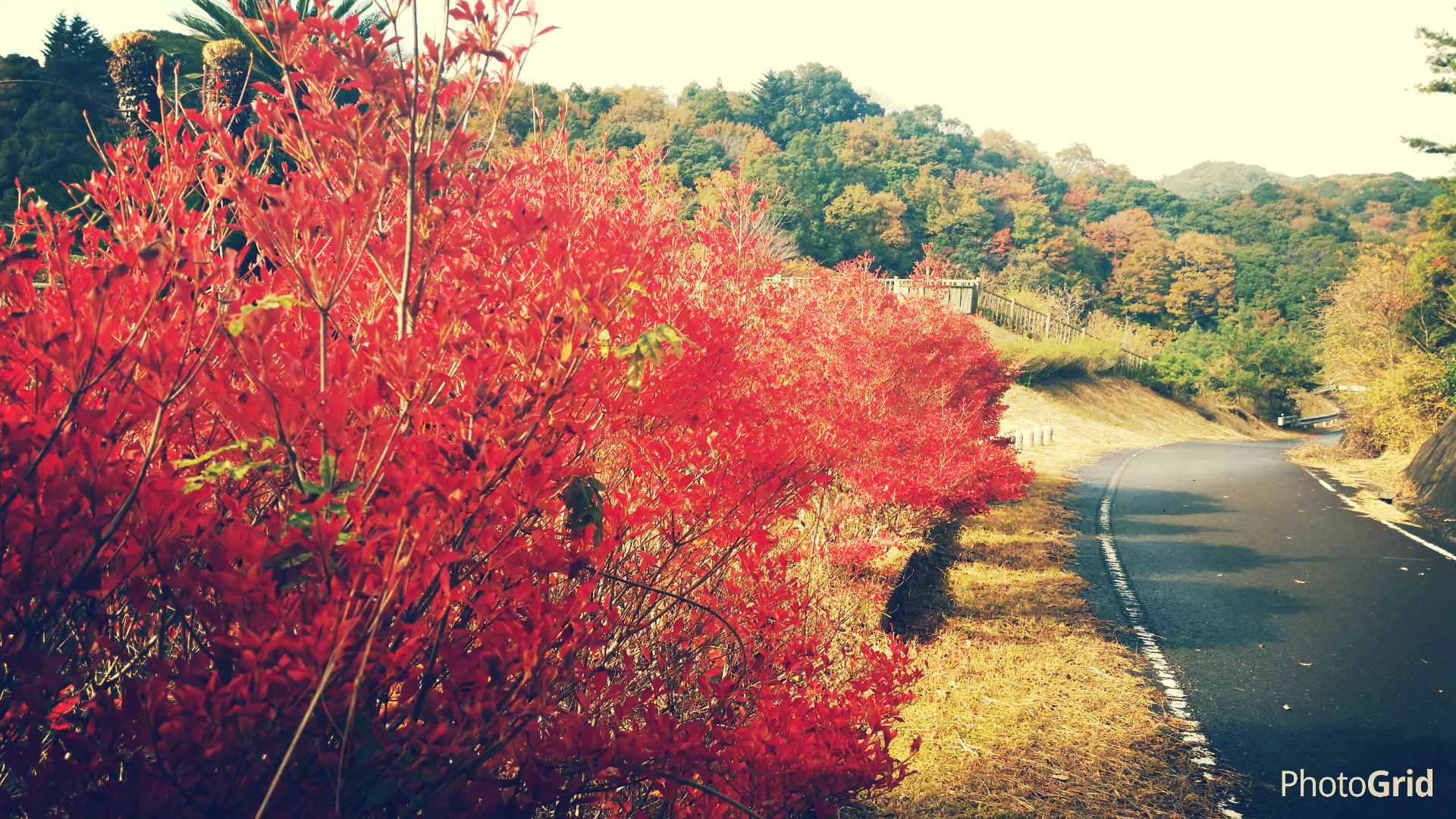 ダム湖周遊の写真4
