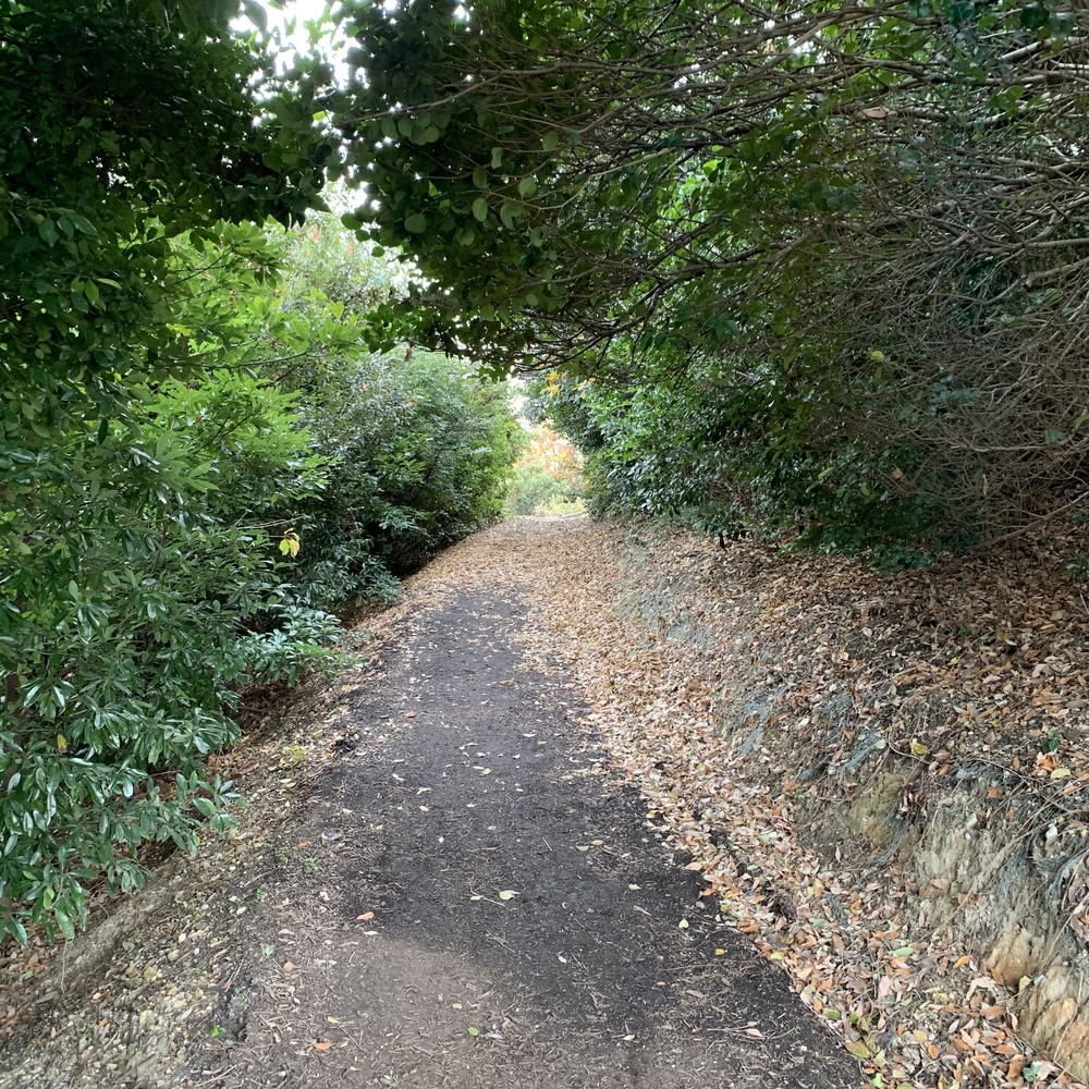 加木屋緑地クロスカントリーコースの写真3