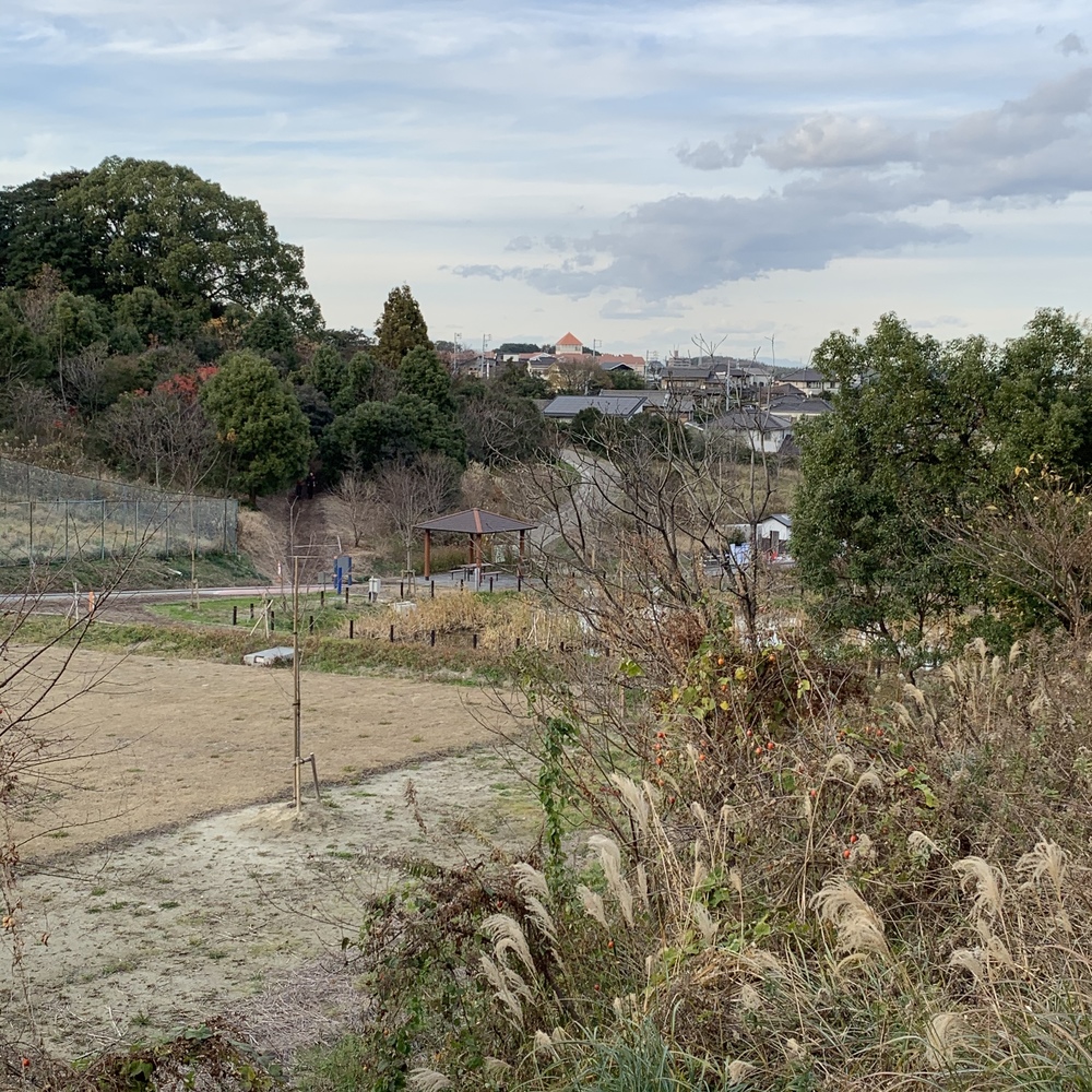 加木屋緑地クロスカントリーコースの写真5