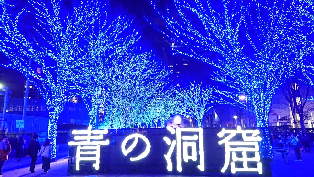 冬のイルミネーション良いとこ取り20kmランの写真3