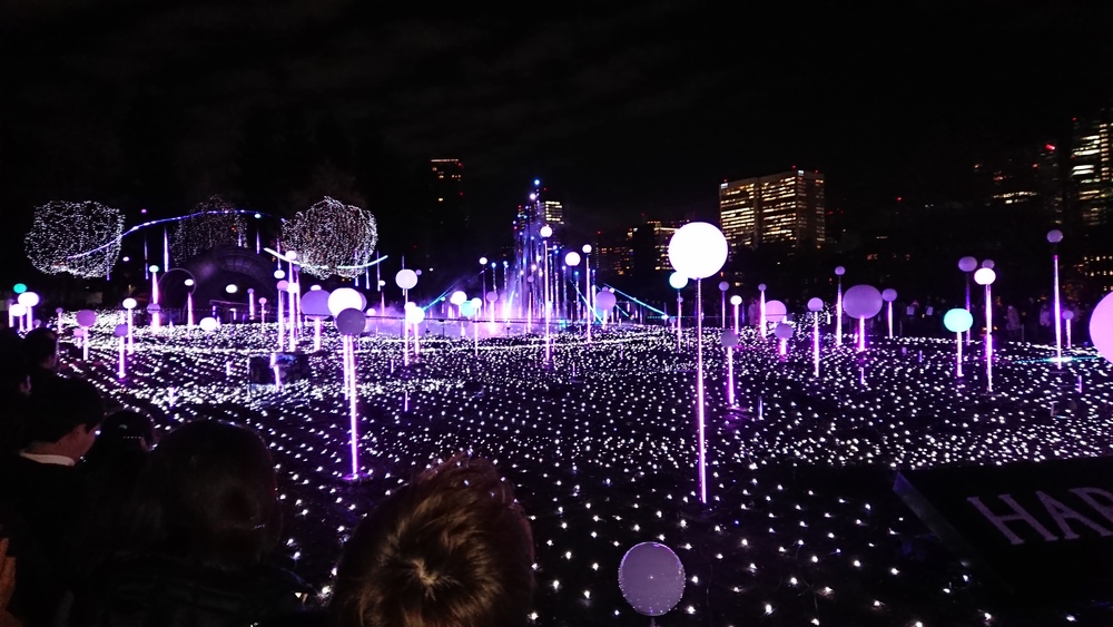 冬のイルミネーション良いとこ取り20kmランの写真4