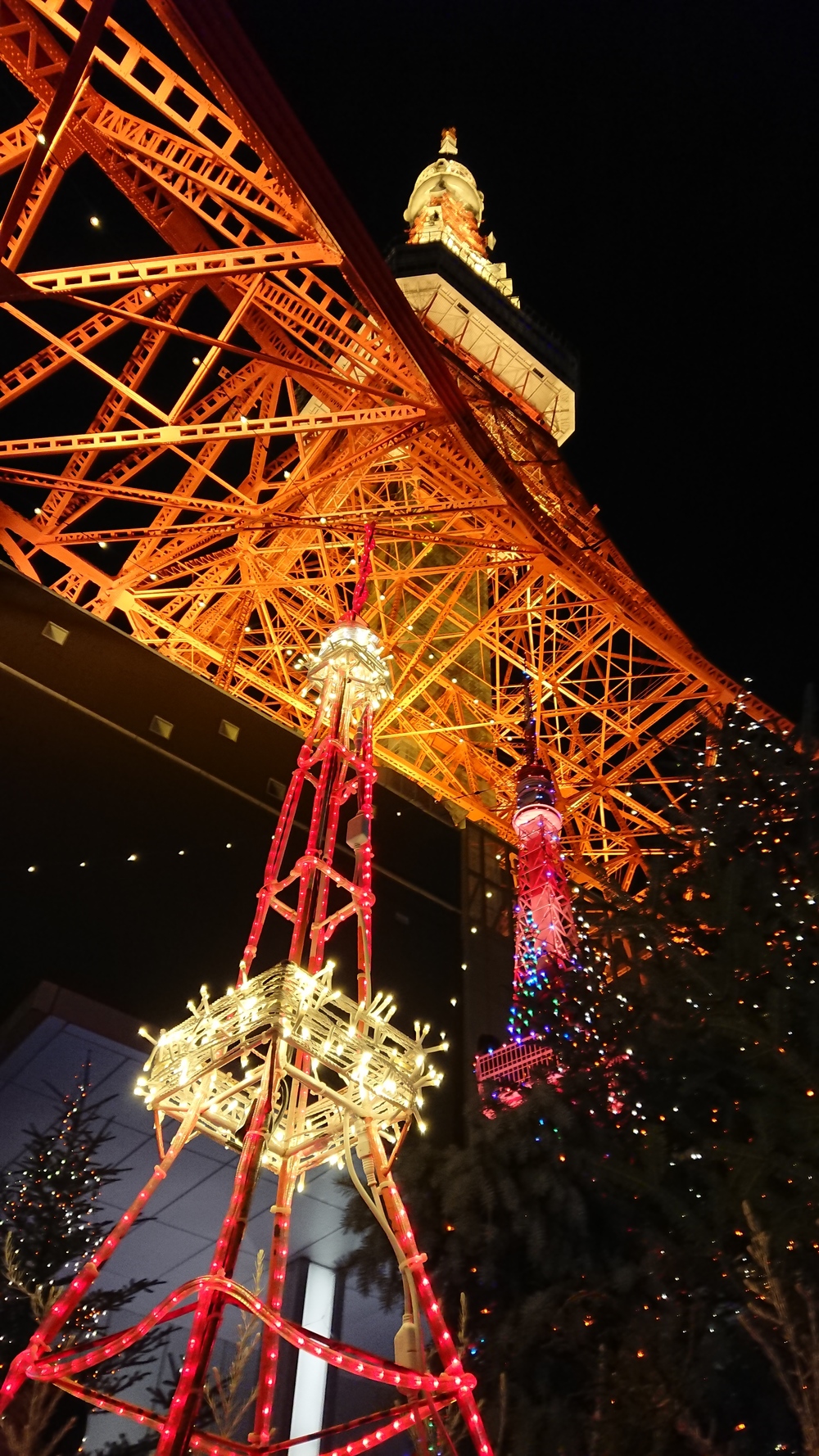 冬のイルミネーション良いとこ取り20kmランの写真5