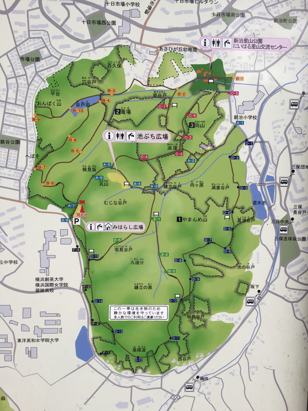 ここも横浜です！の写真3