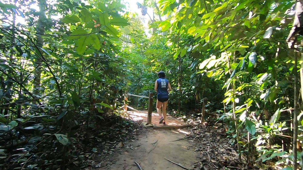 シンガポール中央部の緑の回廊を探検の写真6