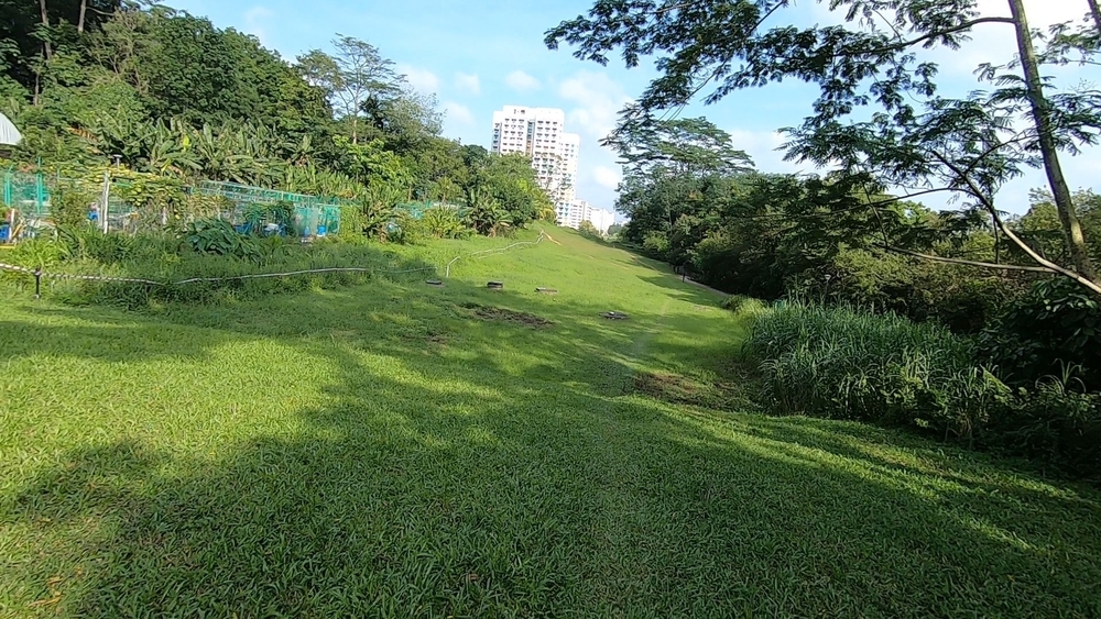 シンガポール中央部の緑の回廊を探検の写真7