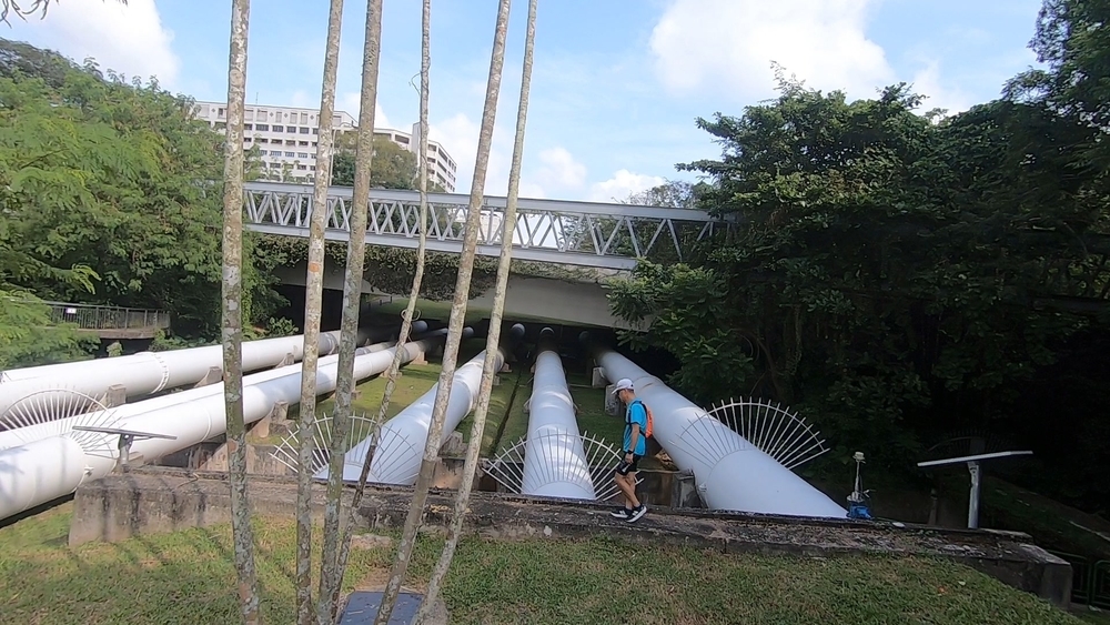 シンガポール中央部の緑の回廊を探検の写真8