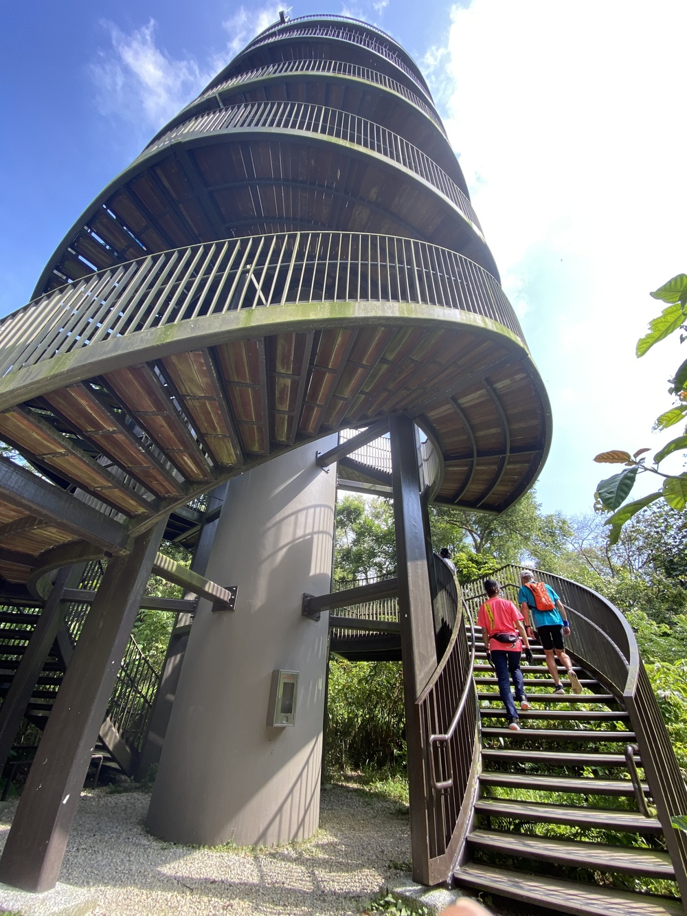 シンガポール中央部の緑の回廊を探検の写真10