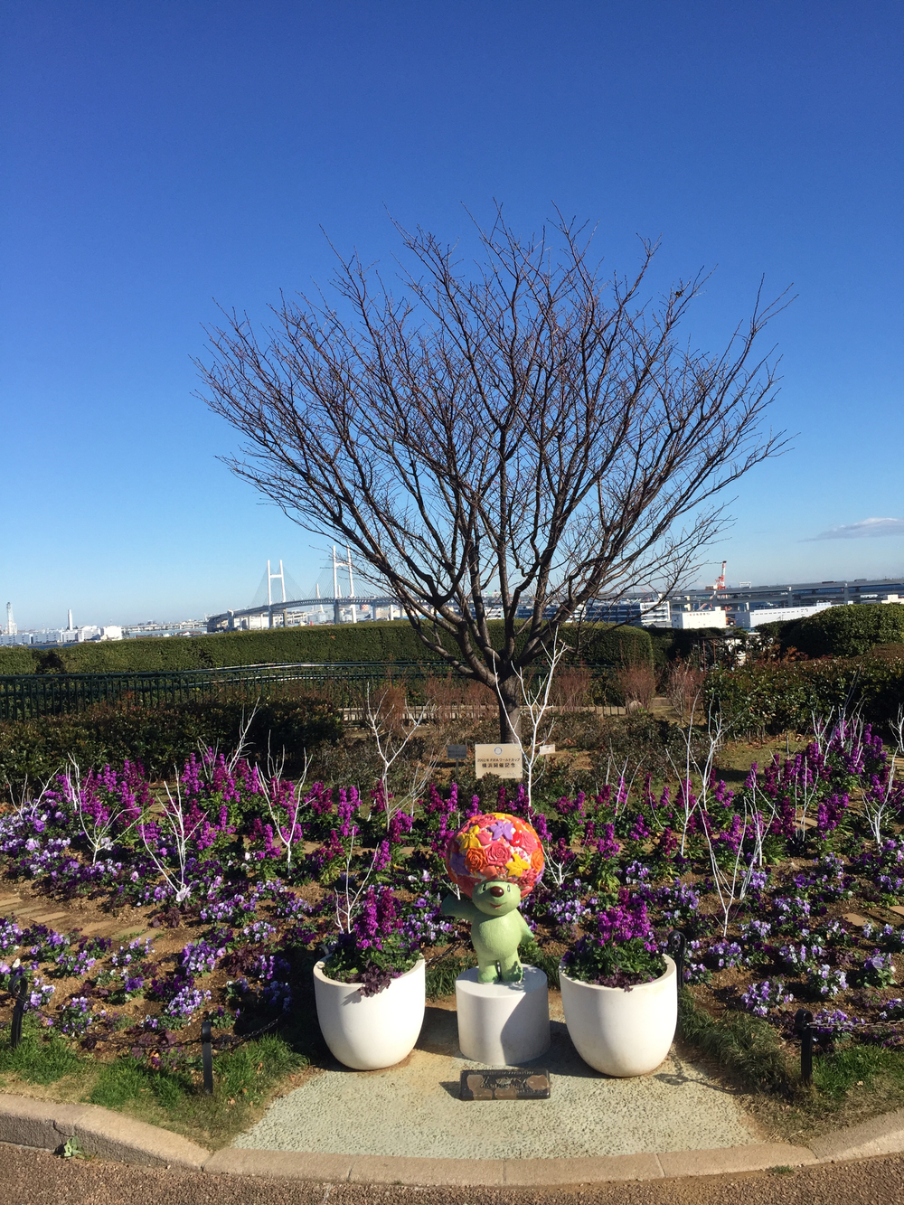 ザ・横浜観光👀の写真5