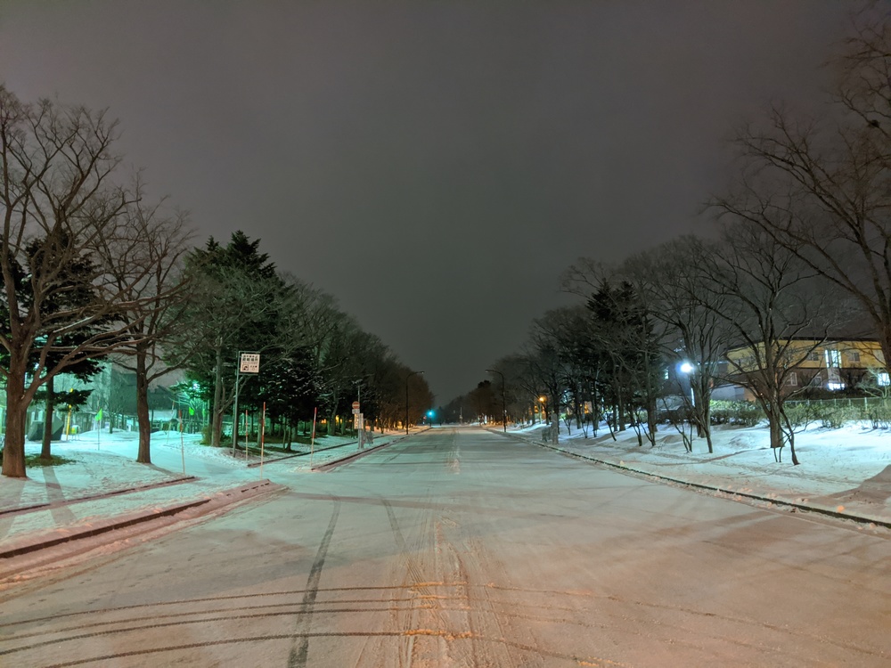 冬の早朝大麻駅発鉄道沿いコース（北海道江別市）の写真3