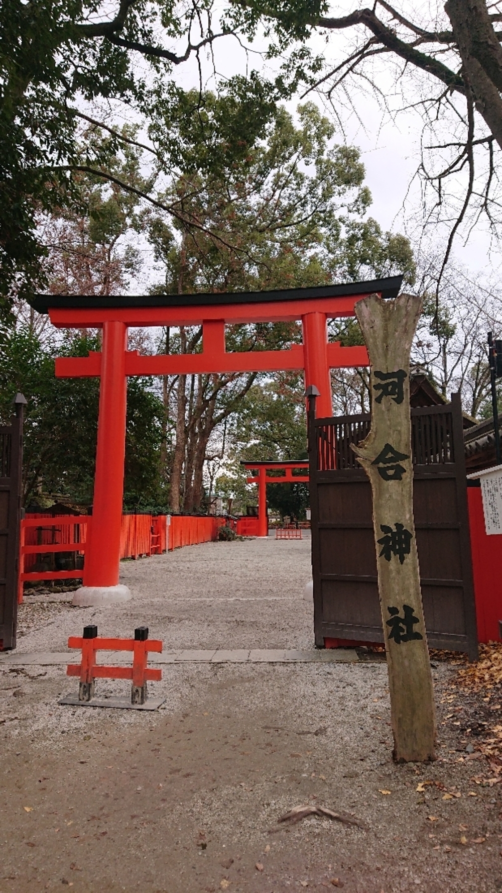 京都の神社を巡るランの写真4