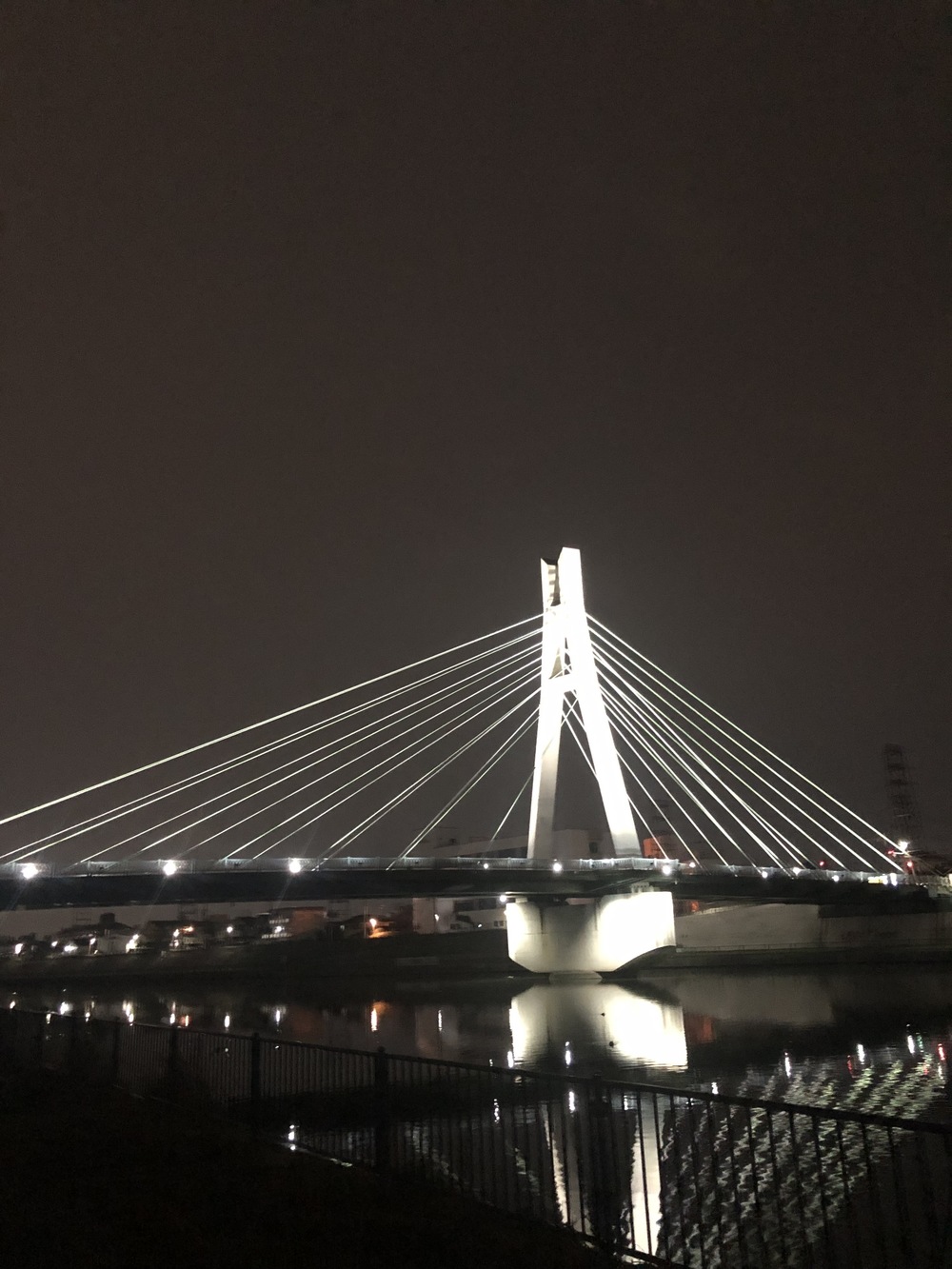 淀川から神崎川経由で内環状線を戻る10kmコースの写真4