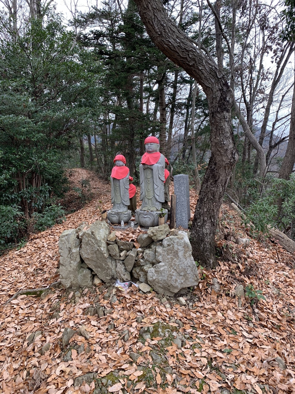 北高尾トレランルートの写真3