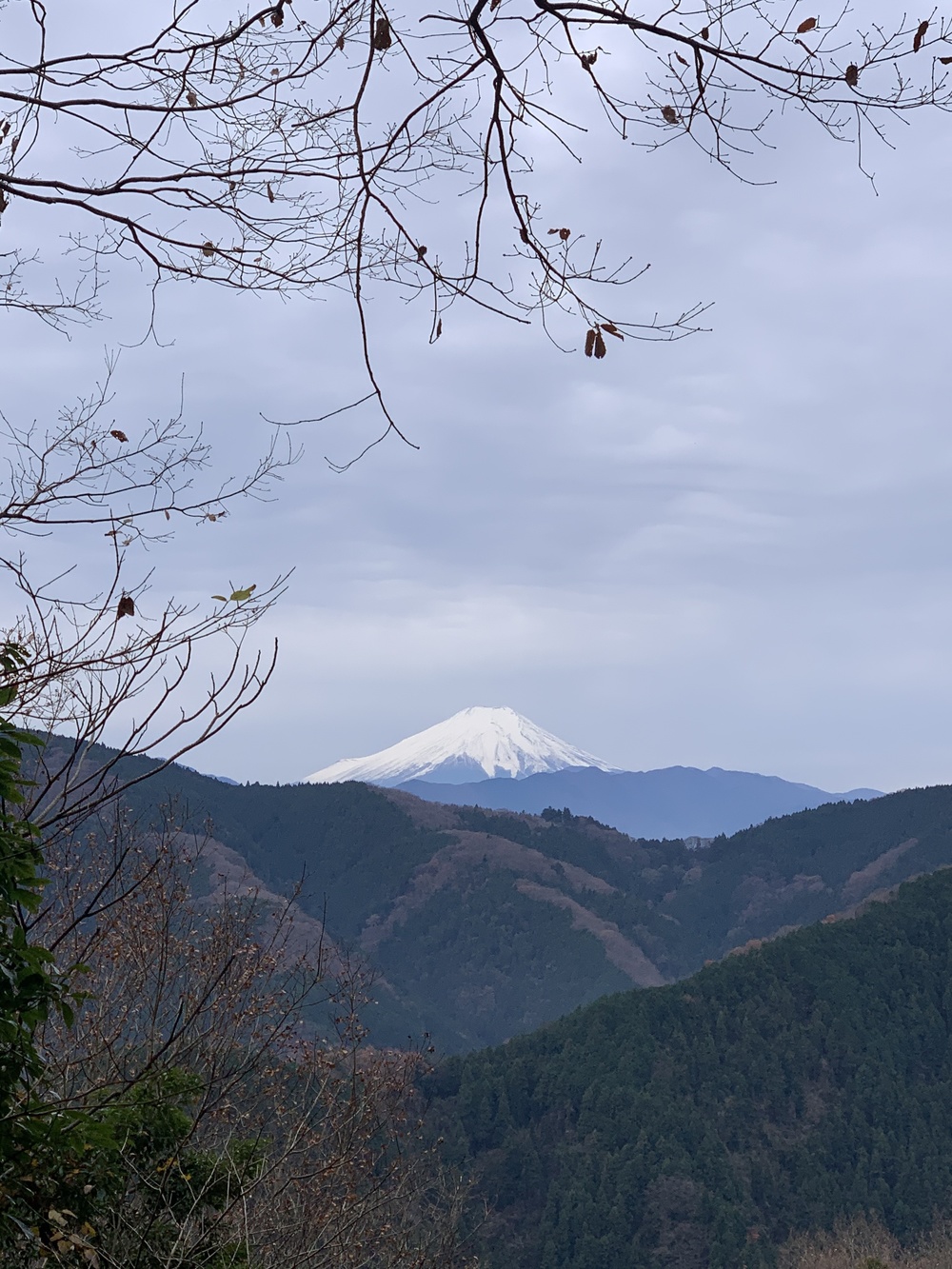 北高尾トレランルートの写真4