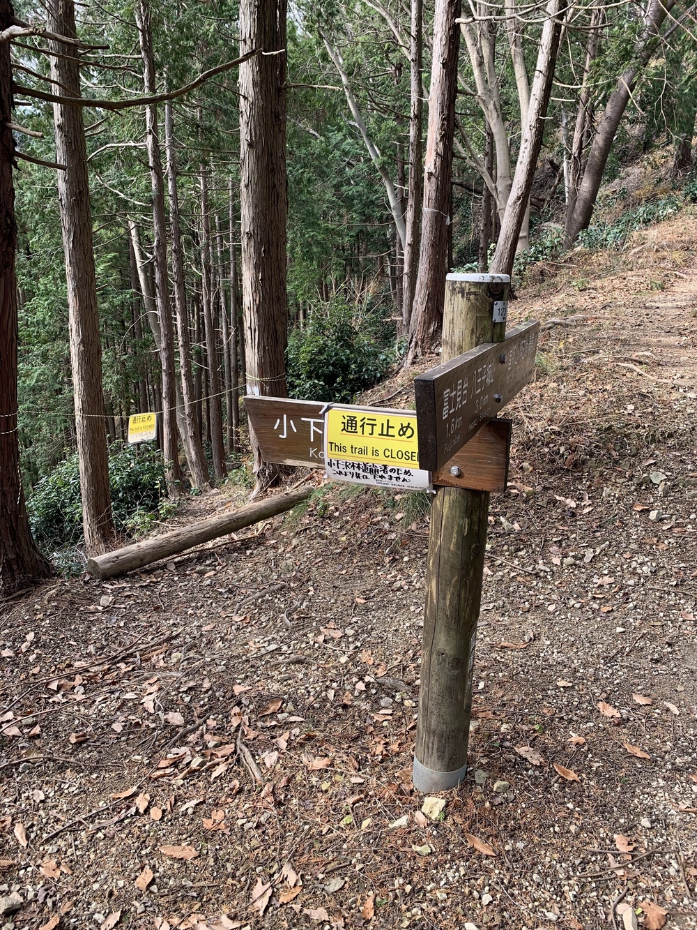 北高尾トレランルートの写真6