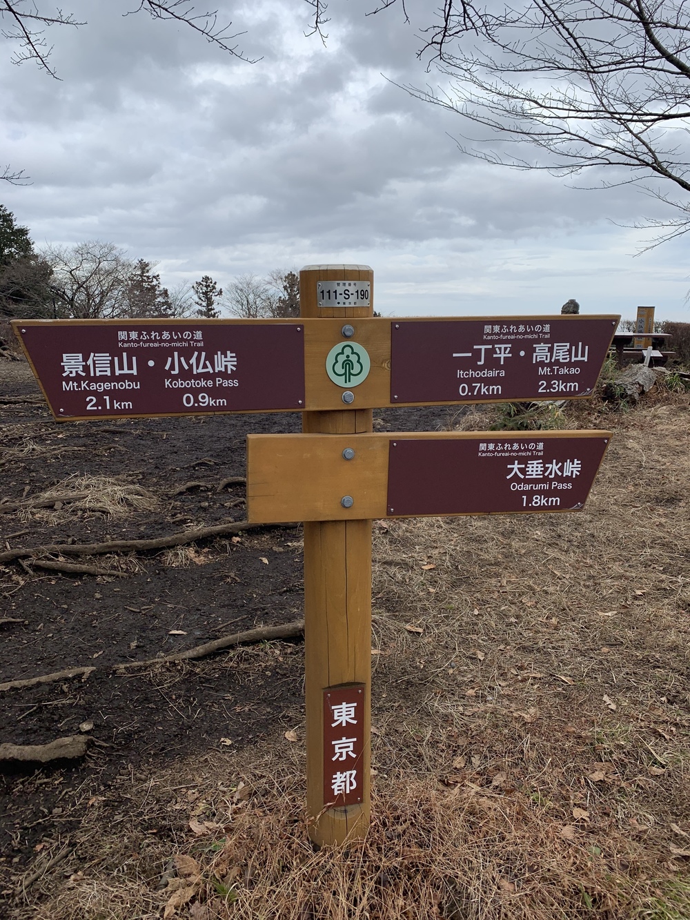 北高尾トレランルートの写真11