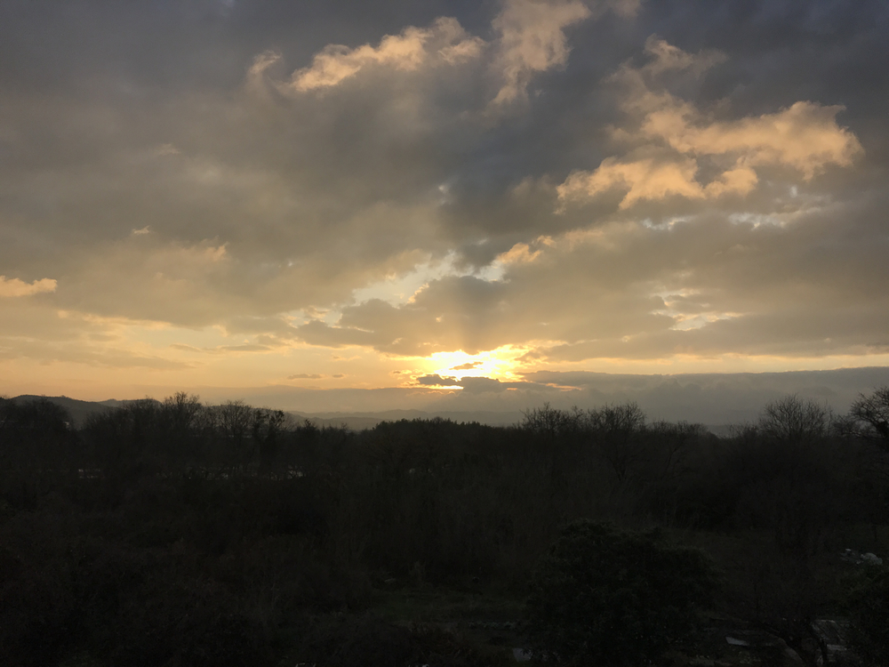 木津川ポッキーラン11.11km用の写真4