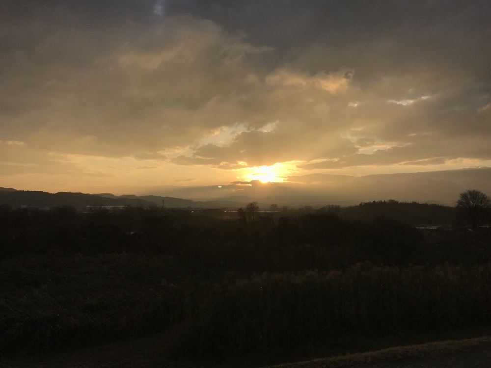 木津川ポッキーラン11.11km用の写真5