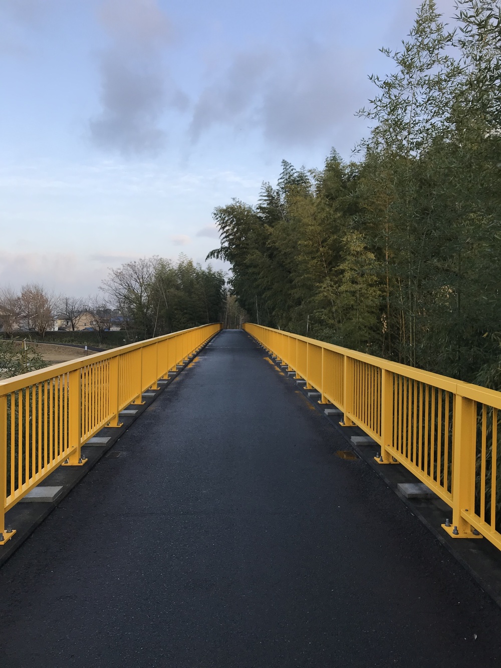 木津川ポッキーラン11.11km用の写真8