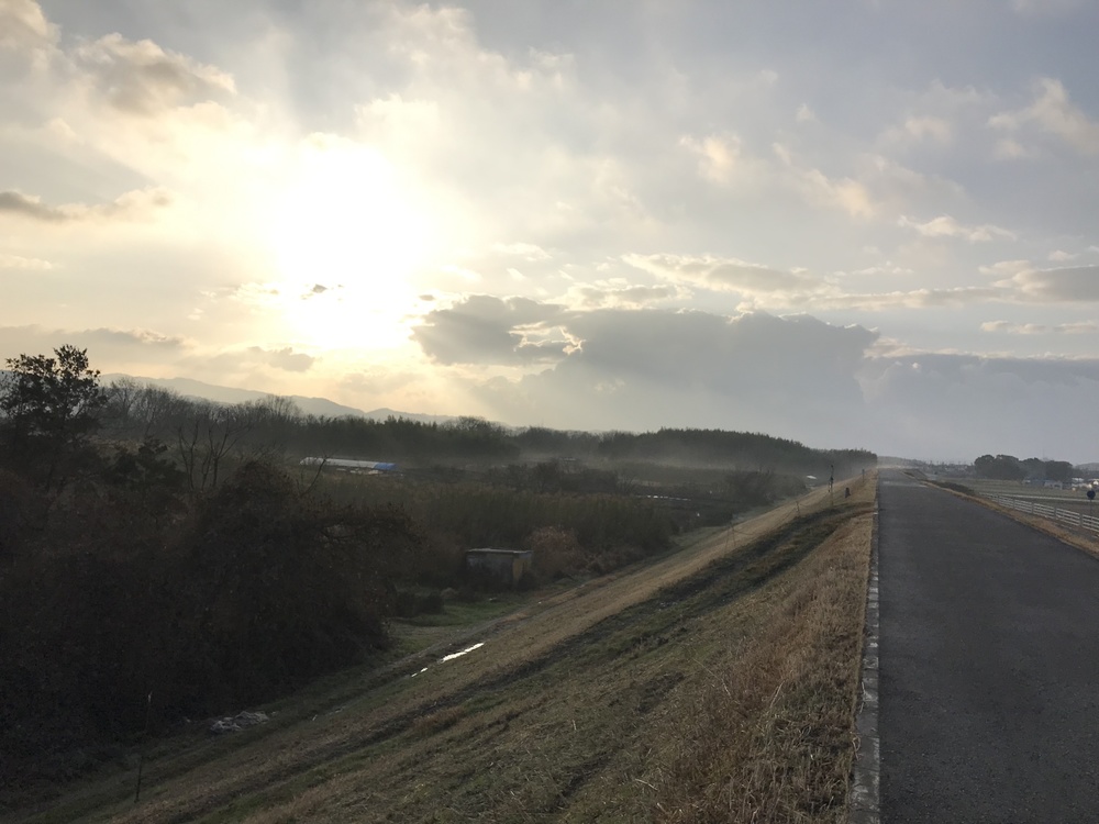 木津川ポッキーラン11.11km用の写真11