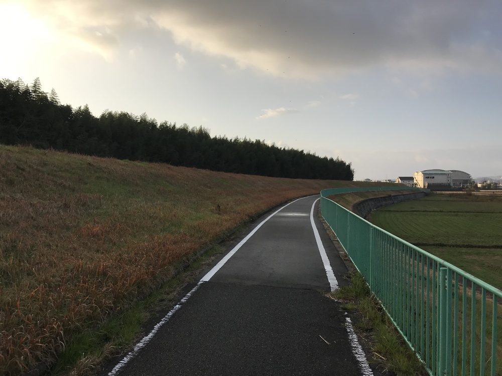 木津川ポッキーラン11.11km用の写真12