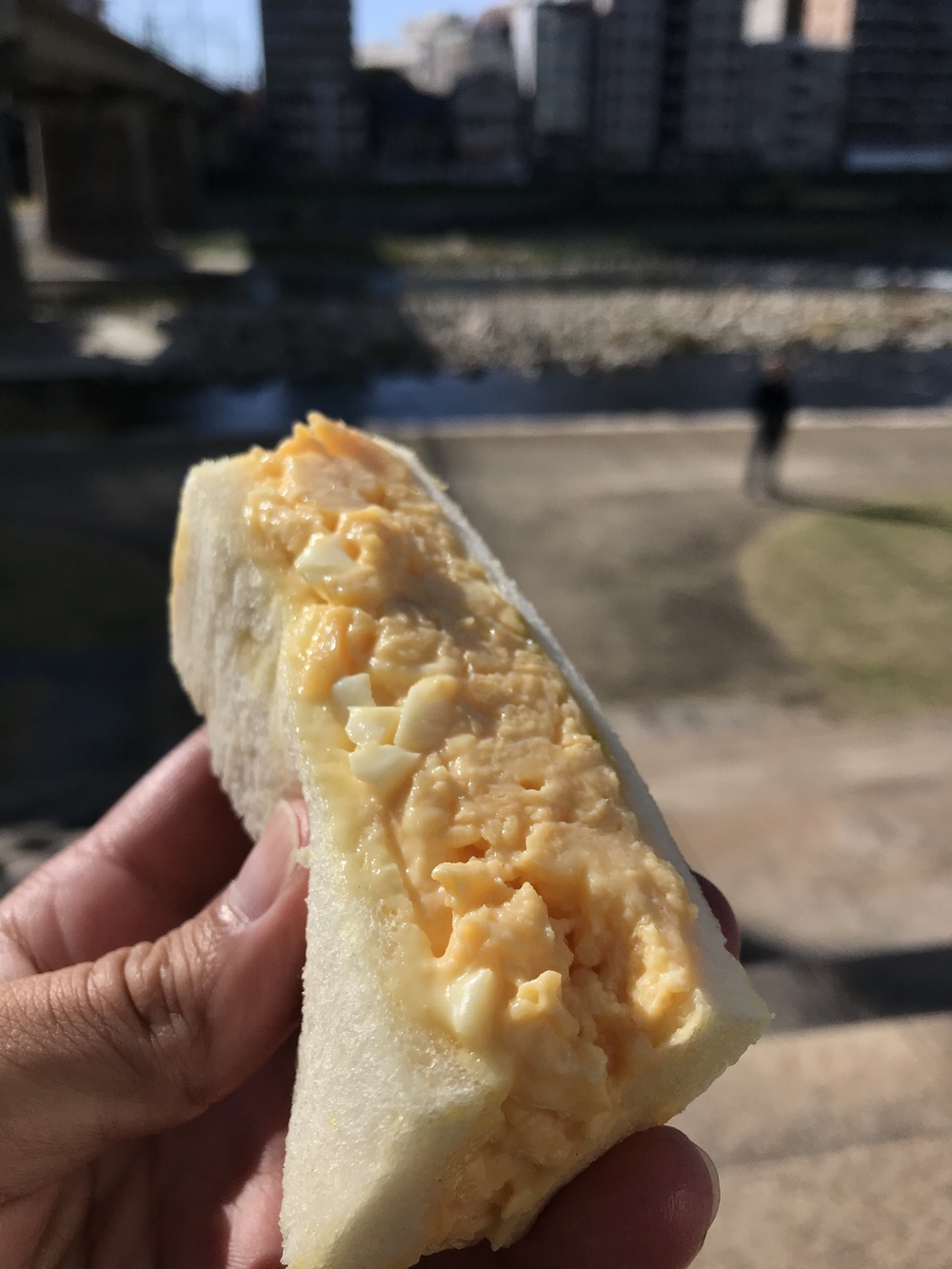 【兵庫県】武庫川遡上23kmの写真5