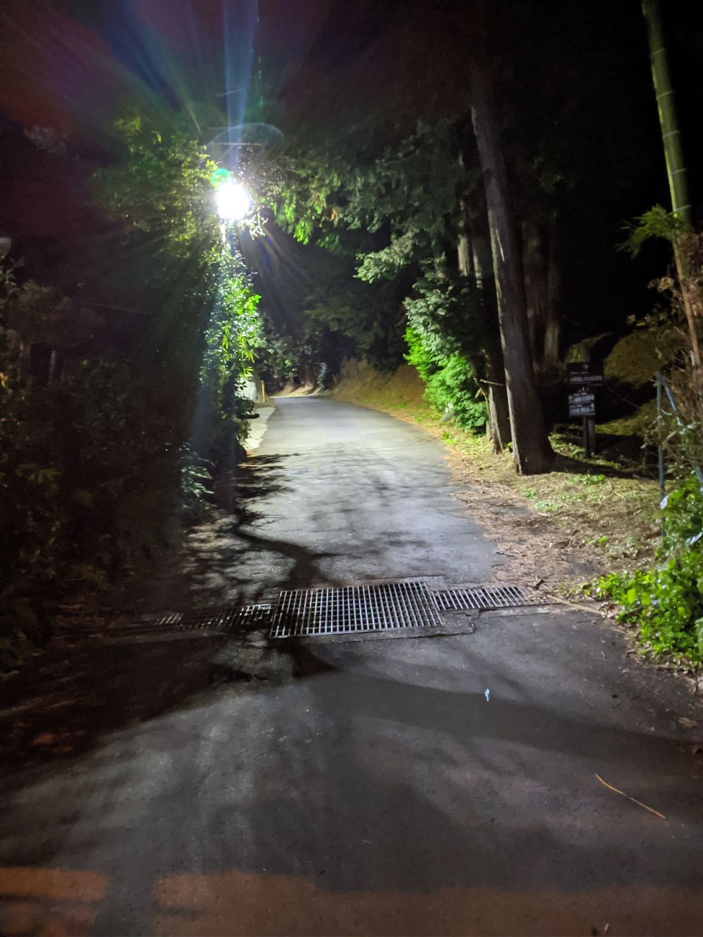 箱根駅伝応援!小田原城址〜城山公園〜御幸の浜の写真5