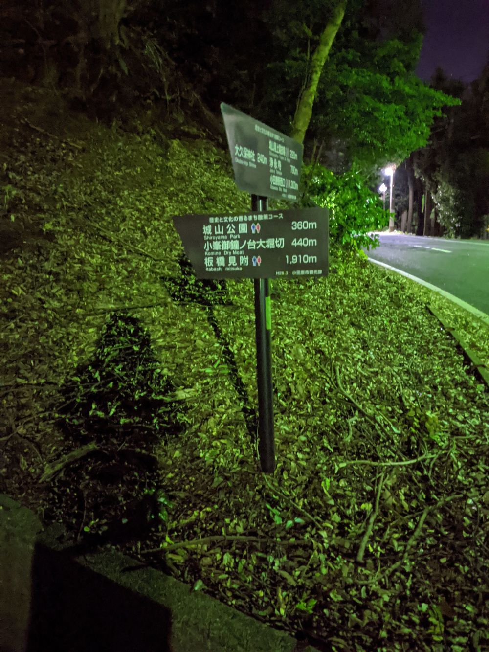箱根駅伝応援!小田原城址〜城山公園〜御幸の浜の写真6