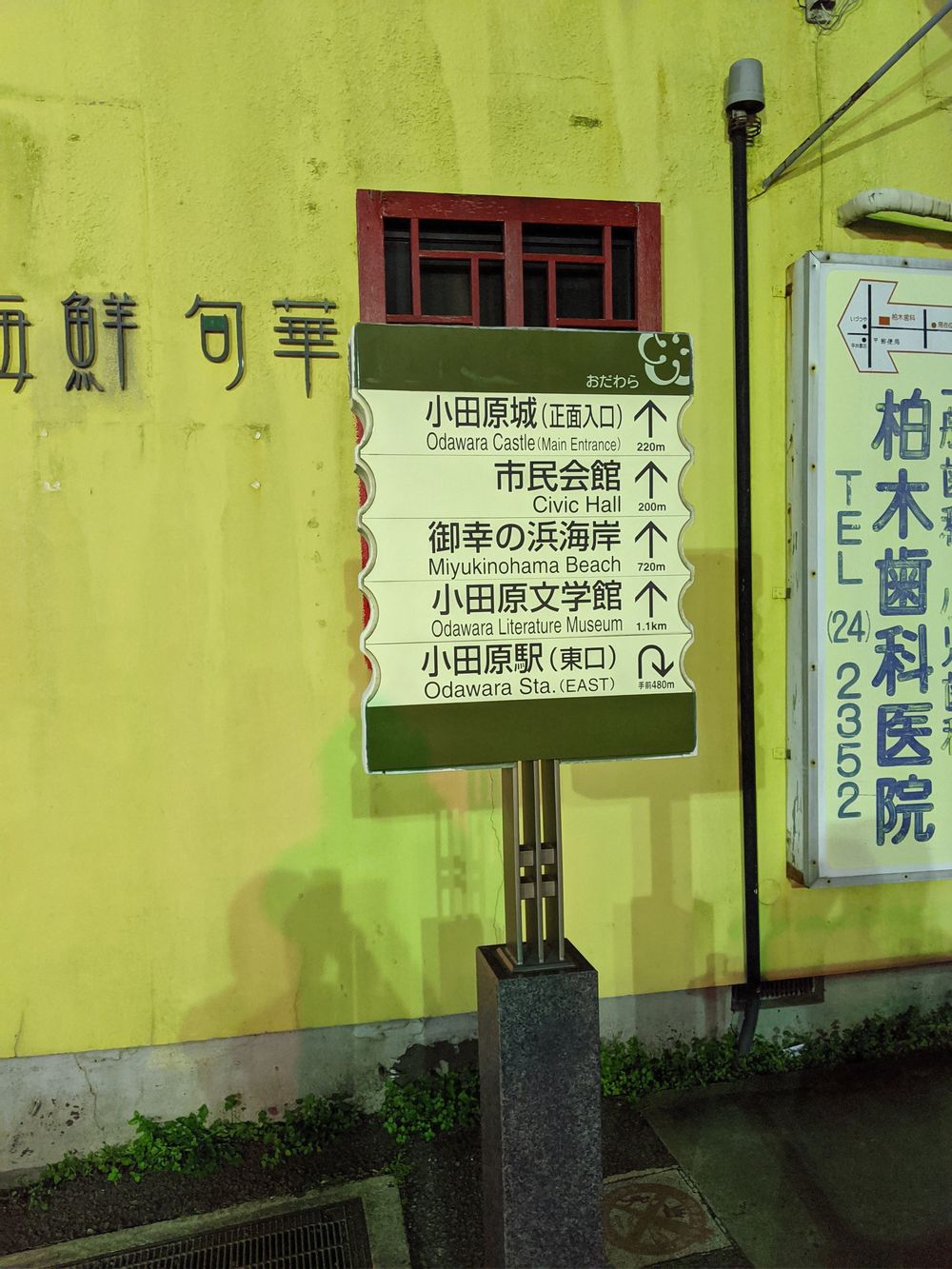 箱根駅伝応援!小田原城址〜城山公園〜御幸の浜の写真18