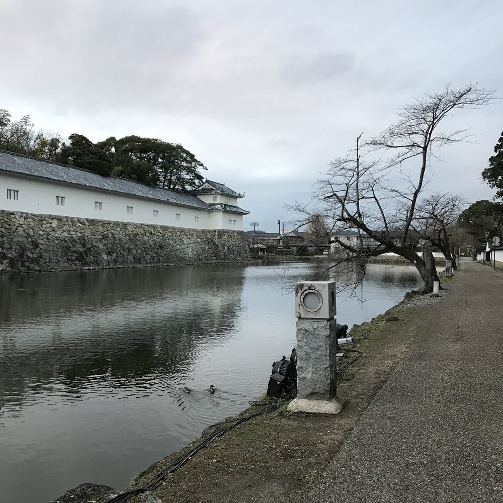 彦根城外周周回コースの写真4