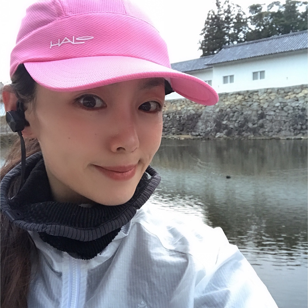 彦根城外周周回コースの写真6