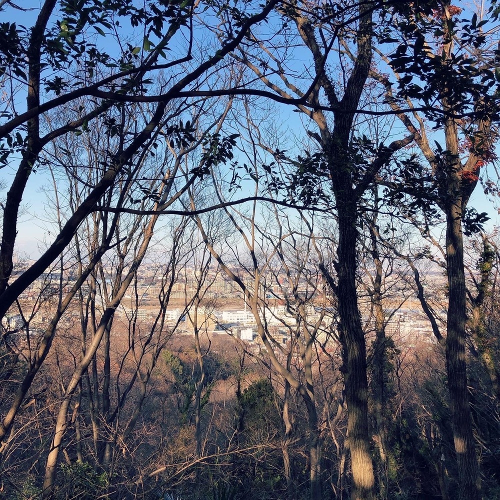 ランナーフレンドリーな露店風呂ありの銭湯とトレラン気分を楽しむプチラントリップの写真3