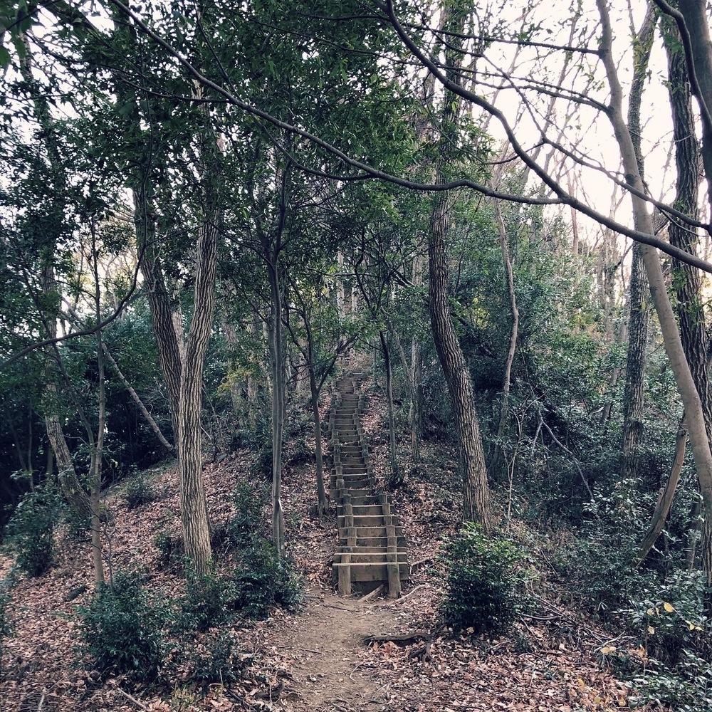 ランナーフレンドリーな露店風呂ありの銭湯とトレラン気分を楽しむプチラントリップの写真4