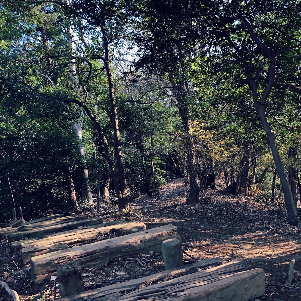 ランナーフレンドリーな露店風呂ありの銭湯とトレラン気分を楽しむプチラントリップの写真5