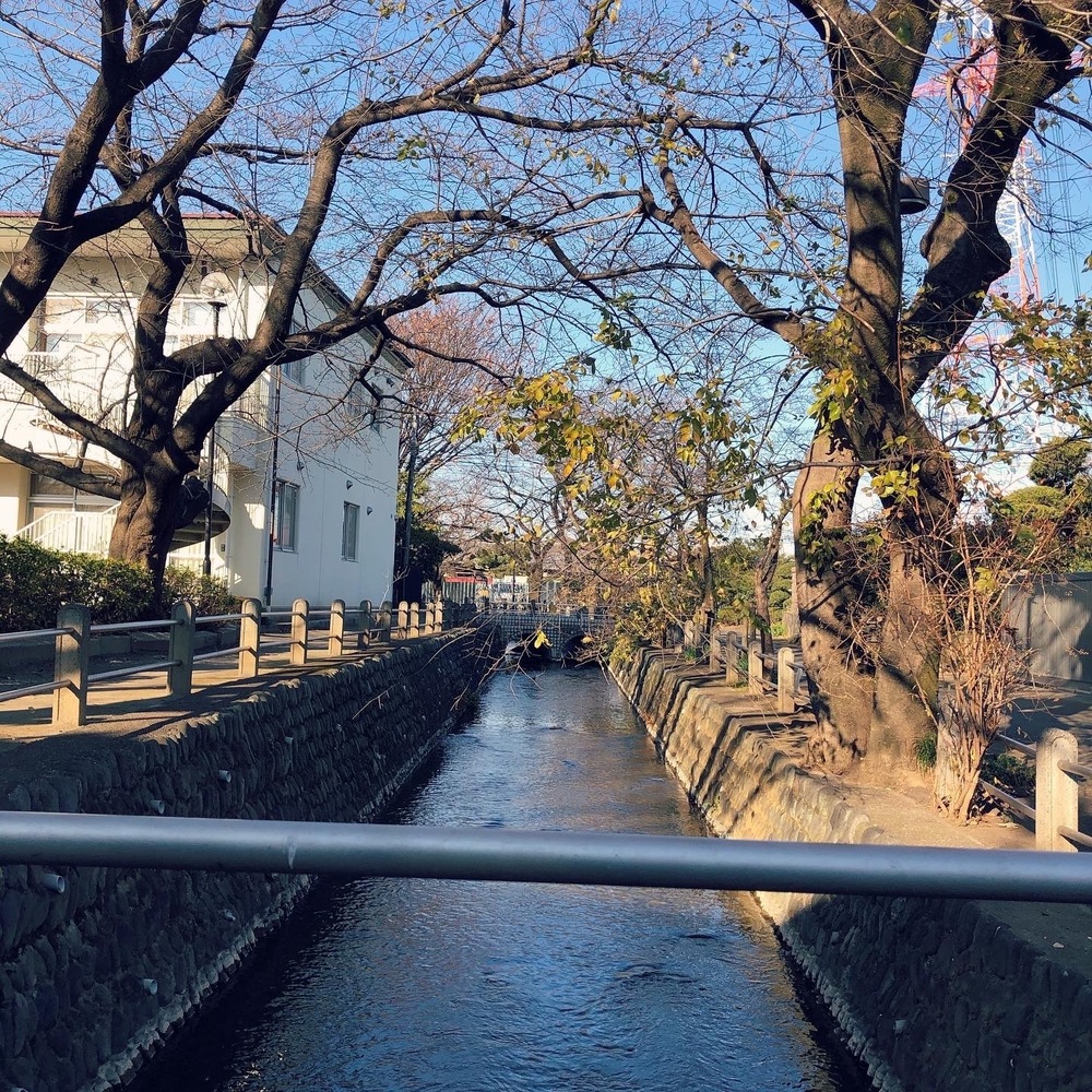 ランナーフレンドリーな露店風呂ありの銭湯とトレラン気分を楽しむプチラントリップの写真7