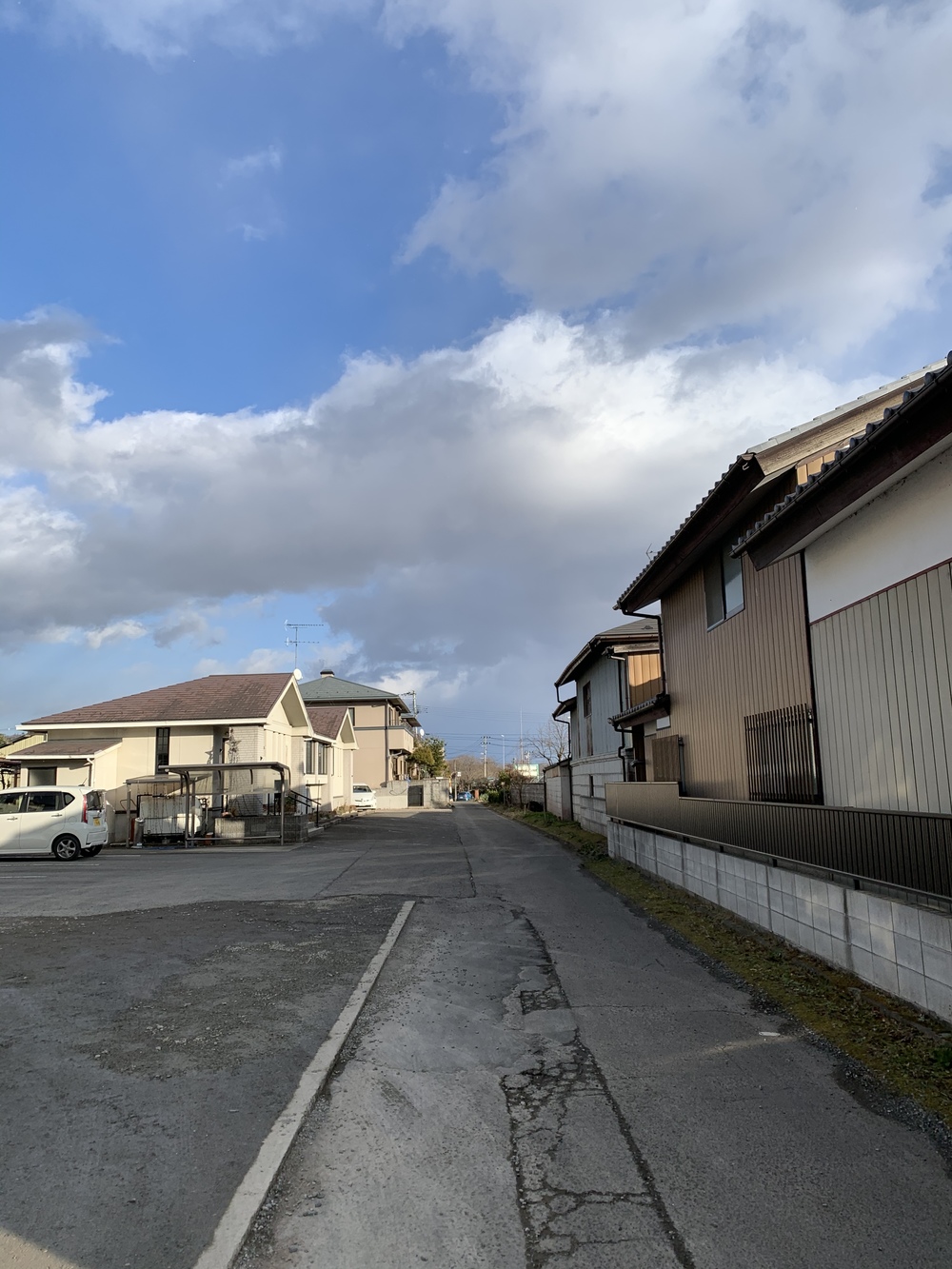 白石帰省～ウルトラマラソン練習コース～の写真4