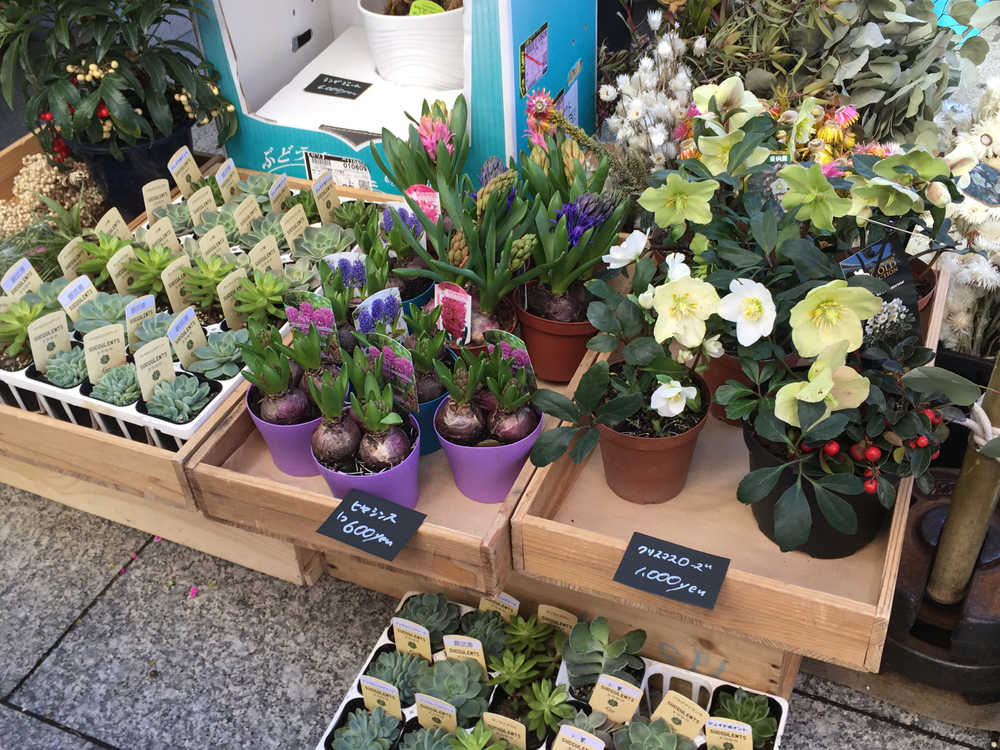 【2020年箱根駅伝優勝校】青山学院大学 周辺観光RUNの写真6